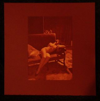 Vintage Photo Sexy Louise Brooks Museum Find Dark Red Sensual Daring 2