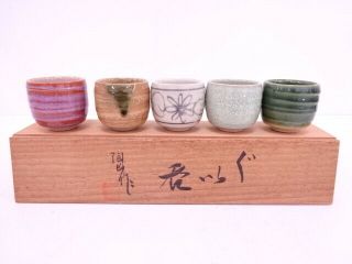 66692 Japanese Pottery Sake Cup Set Of 5 / Artisan Work