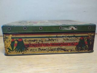 Greek Vintage Rare Tin Litho Empty Box Egyptian Cigarettes Alex - Livanos - Freres 5