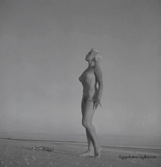 Bunny Yeager Nude Ocean Side Pin - Up Camera Negative Lori Shea In Naples 1950s Nr