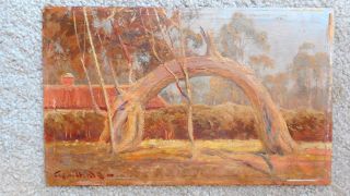 Antique Australian Oil Painting By George Hyde Pownall " Old Gum Glenelg S.  A "