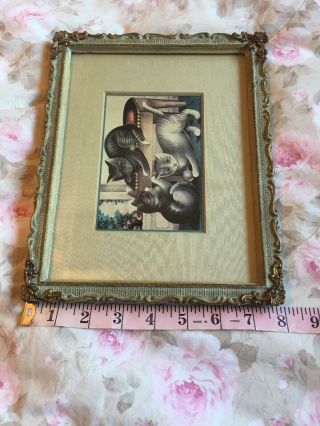 Rare Antique 19th C Currier and Ives Lithograph Kittens Framed Beautifully 12