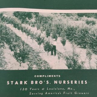 Stark Bro ' s Nurseries - Fruit Planting Guide for your Victory Garden WWII 1943 4