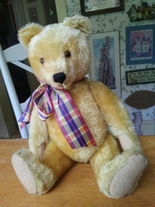 Antique Vintage 1950 - 1966 Blond Steiff Teddy bear EAN 5335,  01 13in EUC 2