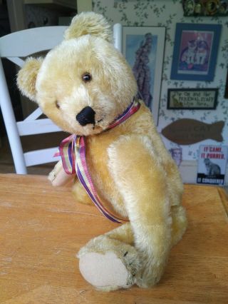 Antique Vintage 1950 - 1966 Blond Steiff Teddy bear EAN 5335,  01 13in EUC 3