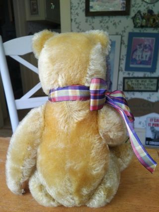 Antique Vintage 1950 - 1966 Blond Steiff Teddy bear EAN 5335,  01 13in EUC 4
