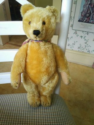 Antique Vintage 1950 - 1966 Blond Steiff Teddy bear EAN 5335,  01 13in EUC 6