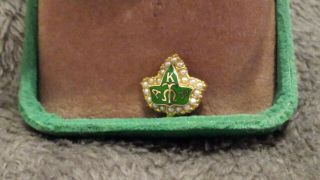 Vintage Alpha Kappa Alpha AKA 10K Gold & Pearls Sorority Leaf Pin 10