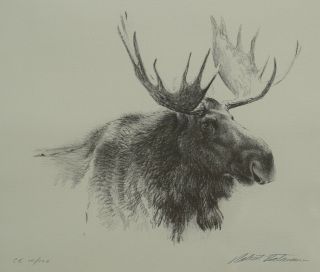 Rare Robert Bateman Limited Edition Lithograph " Bull Moose " Framed Wildlife Art