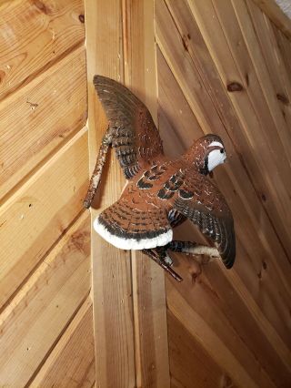 Bobwhite quail wood carving game bird carving duck decoy Casey Edwards 3