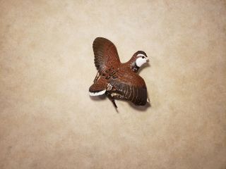 Bobwhite quail wood carving game bird carving duck decoy Casey Edwards 4