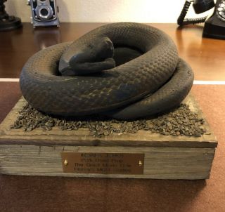 RARE Walt Disney MGM Studios park GREAT MOVIE RIDE snake prop 5