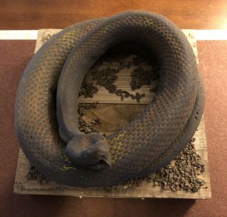 RARE Walt Disney MGM Studios park GREAT MOVIE RIDE snake prop 6