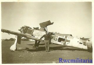 Org.  Photo: Us Soldier W/ Abandoned Luftwaffe Fw.  190 Fighter Plane; Tunisia 1943
