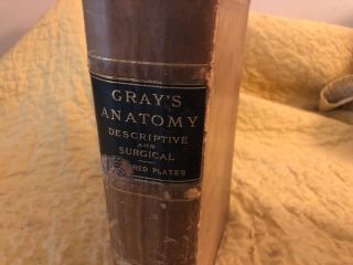 Vintage GRAY ' S ANATOMY Descriptive and Surgical 1901 Leather 15th edition 2