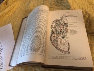 Vintage GRAY ' S ANATOMY Descriptive and Surgical 1901 Leather 15th edition 6