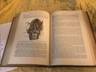 Vintage GRAY ' S ANATOMY Descriptive and Surgical 1901 Leather 15th edition 7