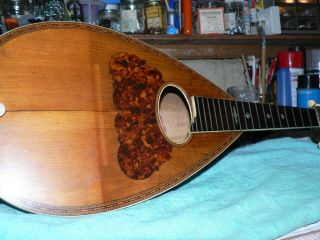 Washburn roundback mandolin circa 1890 ' s no case.  needs tuners. 3