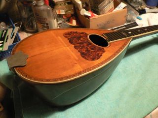 Washburn roundback mandolin circa 1890 ' s no case.  needs tuners. 4