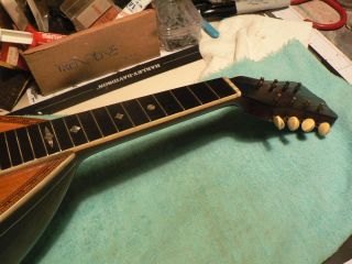 Washburn roundback mandolin circa 1890 ' s no case.  needs tuners. 5