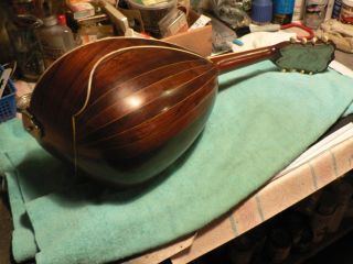 Washburn roundback mandolin circa 1890 ' s no case.  needs tuners. 6