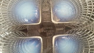 EARLY RARE RENE LALIQUE COQUILLES PLATE - 8 
