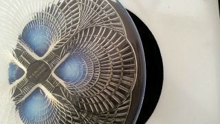 EARLY RARE RENE LALIQUE COQUILLES PLATE - 8 