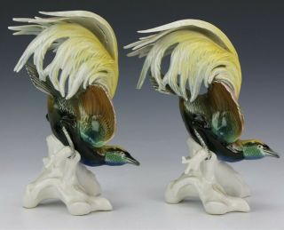 Fabulous Vintage Pair Karl Ens German Porcelain Bird of Paradise Figurine NR GTF 2