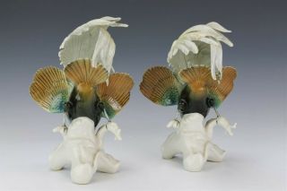 Fabulous Vintage Pair Karl Ens German Porcelain Bird of Paradise Figurine NR GTF 3