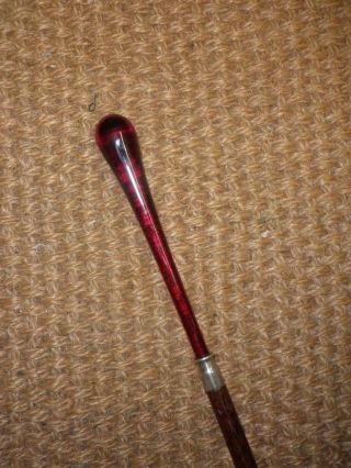 Antique Ladies Red Glass Teardrop Top Silver Rosewood Dress Cane - 91cm