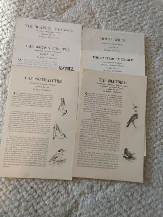 Vintage National Audubon Society 75 Leaflets Birds 1930s 40s Printed Usa