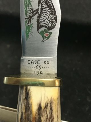 VINTAGE CASE XX STAG 1980 LIGHTNING S SMALL GAME KNIFE MIB W/ SHEATH 6