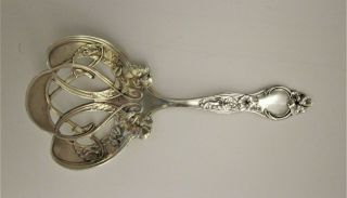 R.  Wallace & Sons Sterling Silver 1904 Art Nouveau Bon Bon Spoon " Violet " - 41 G