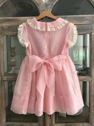 1950 ' s vintage girl sheer pink party dress,  sash tie,  flutter sleeves,  soft lace 5