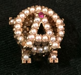 Alpha Omicron Pi Badge,  10k Gold,  Seed Pearls And A Ruby,  Vintage Sorority Pin