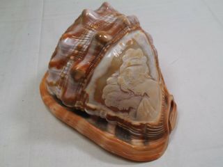 Vintage Carved Etched Cameo 2 Lady Profile Shell 6.  25 " Seashell Conch - Italy