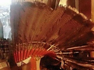 Vintage American Indian Museum Quality Original1890 Headdress Turkey Feathers