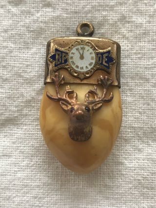 Vintage Elk Tooth Pendant Watch Fob Bpoe Member 11th Hour