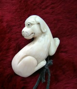 Old Japanese Carved Ivory Colored Bone Dog Netsuke Signed