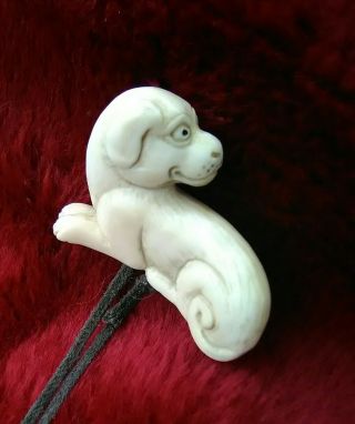 Old Japanese Carved Ivory Colored Bone Dog Netsuke Signed 2
