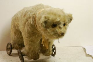 Antique Stuffed Bear On Wheels Pulltoy,  Early 20th C,  Major Fur Loss,  Glass Eyes