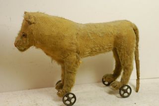 Antique Lion Stuffed Pull Toy,  Early 20th C,  Almost All Fur Gone,  Glass Eyes