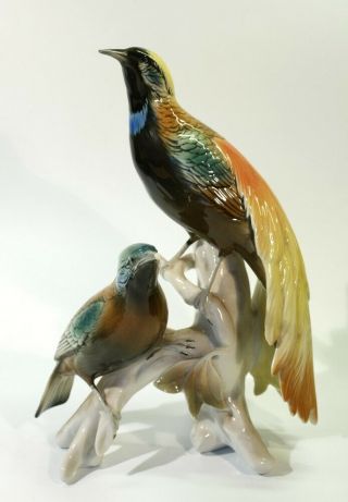Vintage Karl Ens Porcelain Bird Group - Birds Of Paradise.