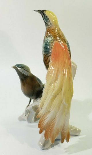 Vintage Karl Ens Porcelain Bird Group - Birds of Paradise. 2