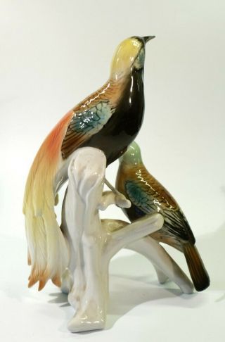 Vintage Karl Ens Porcelain Bird Group - Birds of Paradise. 3