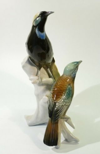 Vintage Karl Ens Porcelain Bird Group - Birds of Paradise. 4