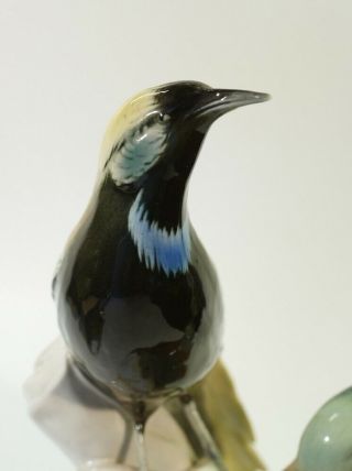 Vintage Karl Ens Porcelain Bird Group - Birds of Paradise. 5