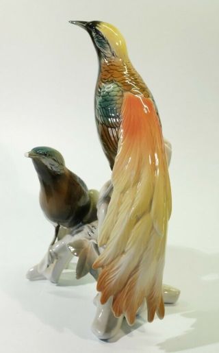Vintage Karl Ens Porcelain Bird Group - Birds of Paradise. 6