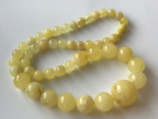 Natural Vintage Amber Beads Antique Baltic Old Necklace 32.  20 gr 4