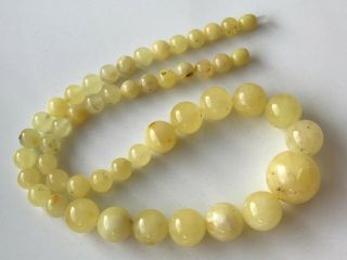 Natural Vintage Amber Beads Antique Baltic Old Necklace 32.  20 gr 6